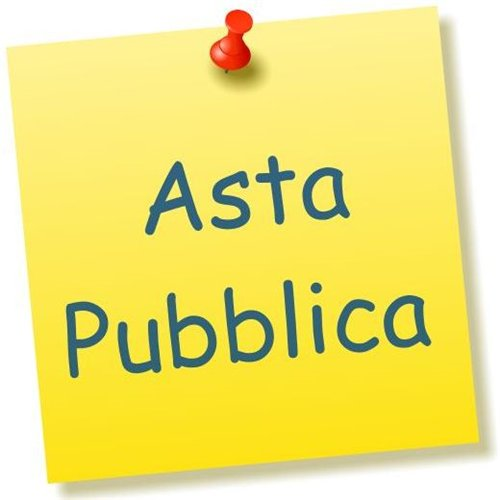 Asta pubblica per la vendita della tendostruttura di proprieta’ comunale ubicata in corso Carlo Testa presso area attrezzata cortile gipsoteca Giulio Monteverde